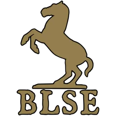 Bannerlord Software Extender (BLSE)