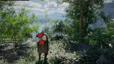 Proper 3rd Person Camera Mod for