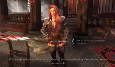 Follower Dialogue Expansion - Aela the Huntress Ekran Görüntüsü 1 - The Elder Scrolls V: Skyrim Special Edition
