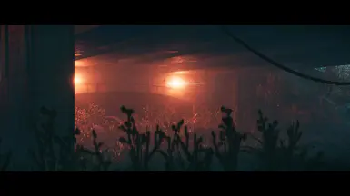 Photo Mode Ekran Görüntüsü 1 - Replaced