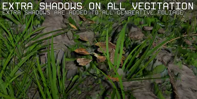 Improvements in Ground LOD and Polygons Ekran Görüntüsü 1 - Crimson Desert