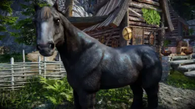 Fluffworks - Auto Patches Ekran Görüntüsü 1 - The Elder Scrolls V: Skyrim Special Edition